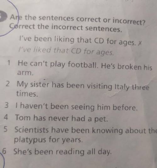 Ate the sentences correct or incorrect? Correct the incorrect sentences.​