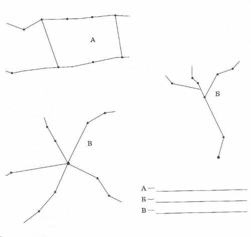 3. Запишите представленные на рисунке типы транспортных сетей.