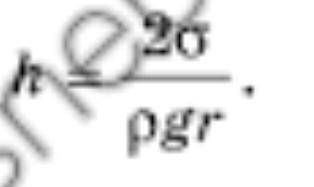 Вывести из этой формулы каждую букву Чему будет равно p? g? r? Ó?