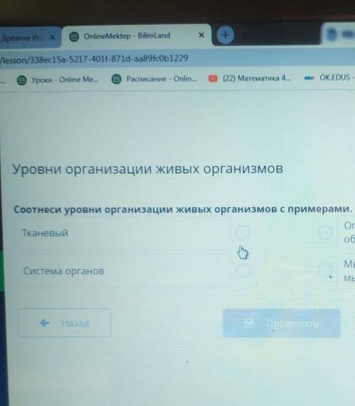 Уровни организации живых организмов Соотнеси уровни организации живых организмов с примерами.​