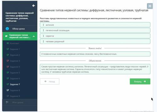 Сравнение типов нервной системы: диффузная, лестничная, узловая, трубчатая Расставь представленных ж