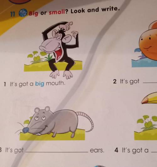 11 Big or small? Look and write. an1 It's got a big mouth.2 It's got3 It's gotears.4 It's got ano​