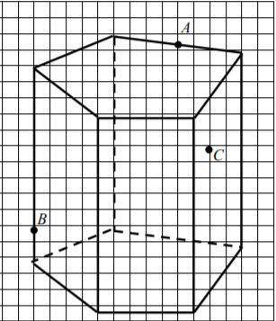 Дано изображение пятиугольной призмы (или пирамиды) и трёх точек на её видимых гранях. Построить изо