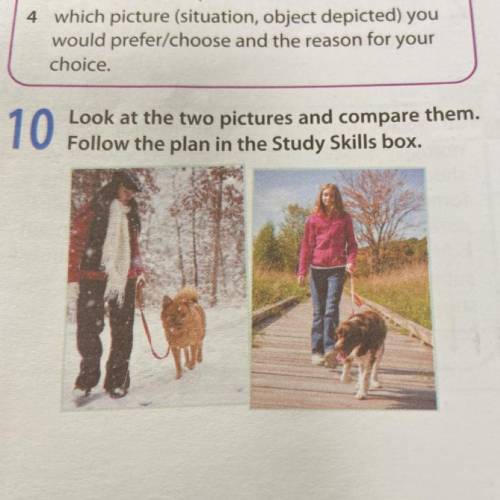 10. Look at the two pictures and compare them. Follow the plan in the Study Skills box.
