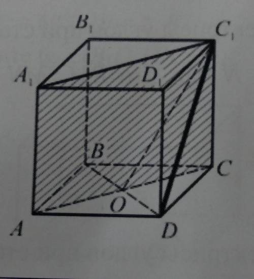 Дано:ABCDA1B1C1D1-куб . Найдите угол (DC1,(AA1C1))​