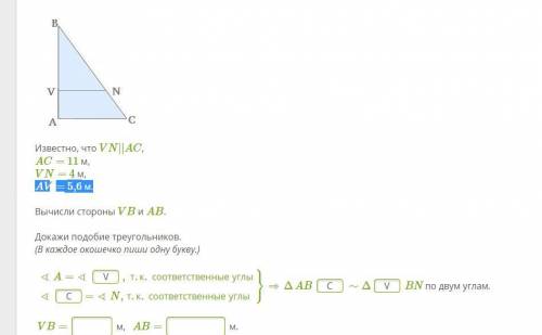 Gen.JPG Известно, что VN||AC, AC= 11 м, VN= 4 м, AV= 5,6 м. Вычисли стороны VB и AB. Докажи подобие