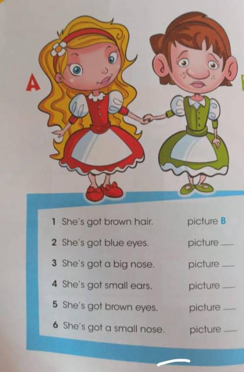 1 She's got brown hair. picture B2 She's got blue eyes.picture3 She's got a big nose.picture4 She's