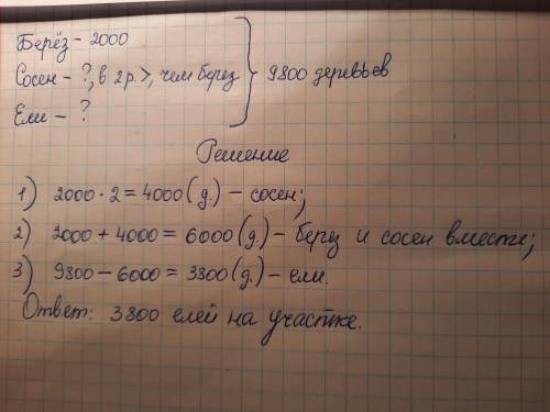 На лесном участке 9800 деревьев из них 2000 берёз сосен в 2раза больше чем берёз а остальные если.Ск