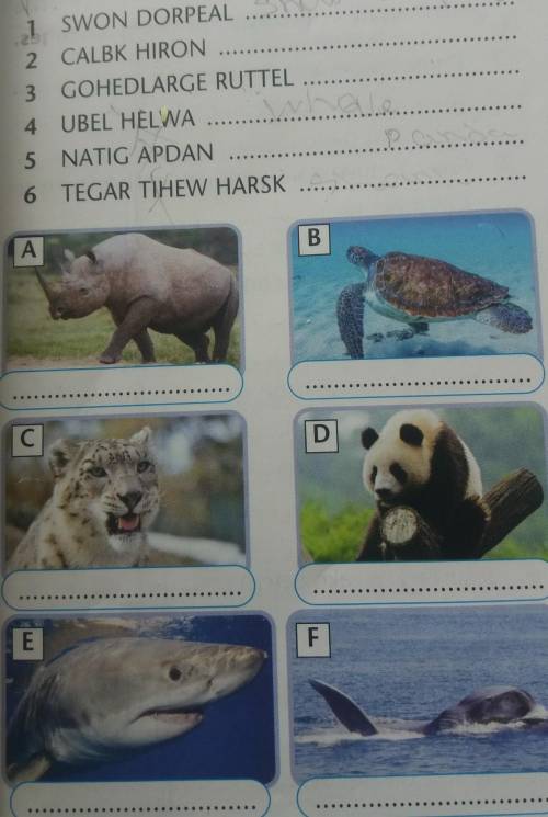 Of the Himalayas Unscramble the words (1-6) to findendangered animals. Then use them tolabel the pic