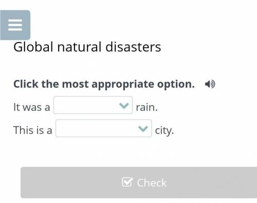 Global natural disasters Click the most appropriate option. It was arain.This is acity.​