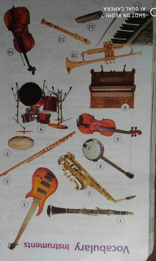 2.6 Match the words in the box with the instruments in the pictures (1-14). Then listen,check and re