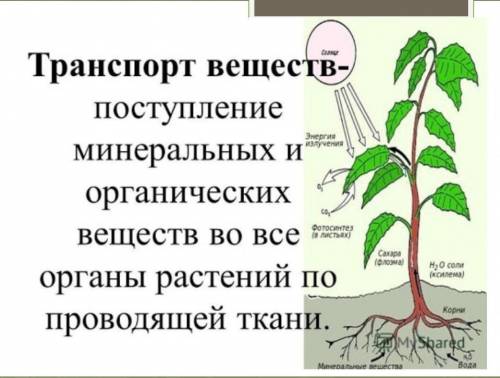 Составить 10 ТЕСТОВЫХ вопросов по теме, работая с учебником. Три варианта ответа УКАЗАТЬ правильный