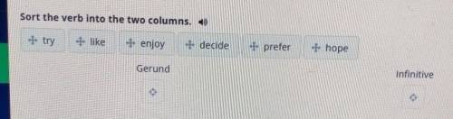 Sort the verb into the two columns. try,like,enjoy,decide,prefer,hope.1)Gerund 2)Infinitive• •​