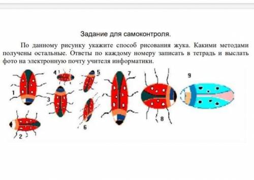 Задание для самоконтроля. По данному рисунку укажите рисования жука. Какими методами получены осталь