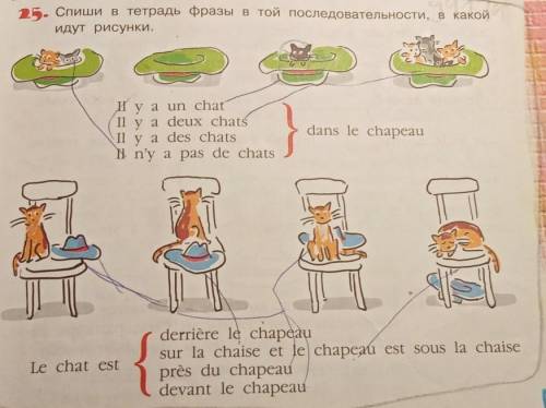 Спиши в тетрадь фразы в той последовательности, в какой идут рисунки. .Il y a un chatIl y a deux cha