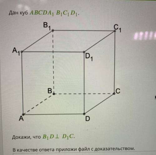 Дан куб ABCDA1B1C1D1. Докажите, что B1D перпендикулярна к D1C