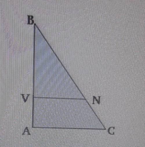 Известно,что ,VN||AC, AC=16m,VN=3m,AV=16,9m.вычисли все стороны VB и AB.Докажи подобие треугольников
