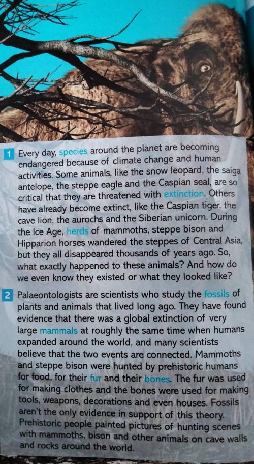 Check the meaning of the words in blue in the text.Then look at the photos.What kind of animals are