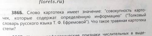 386Б. Слово картотека имеет значение: совокупность карто- чек, которые содержат определённую информ