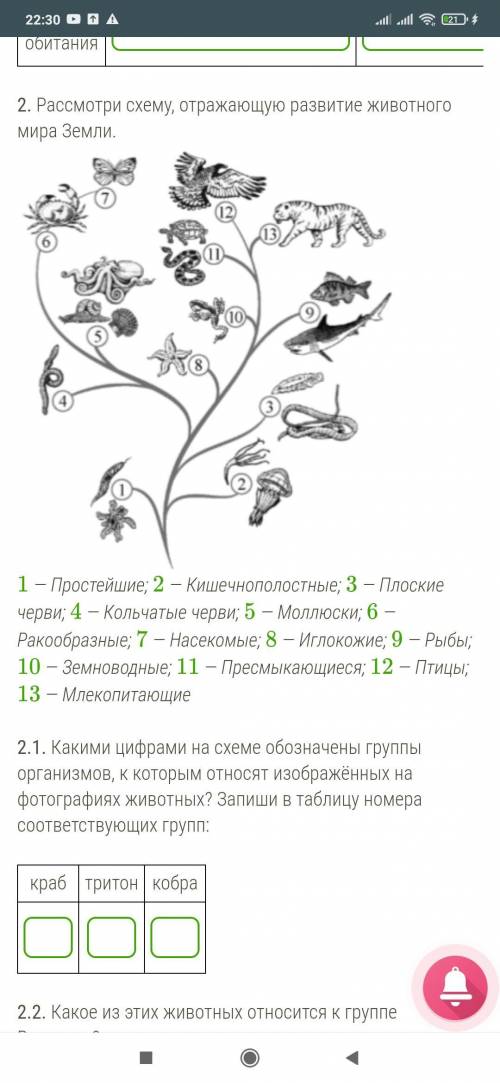 . Рассмотри изображения животных: краб, тритон, кобра. Подпиши их названия под соответствующими изоб