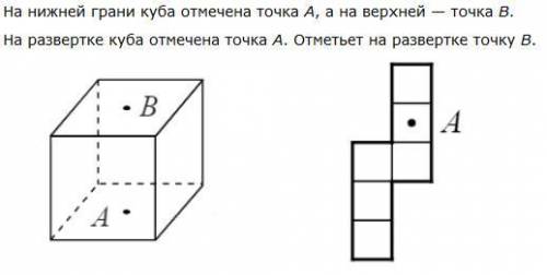 На нижней грани куба отмечена точка A, а на верхней — точка B.
