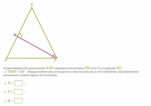 В равнобедренном треугольнике NBT проведена биссектриса TM угла T у основания NT, ∡ TMB = 120°. Опре