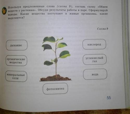 Используя предложенные слова (схема 9), составь схему «Обмен веществ у растения. Обсуди результаты р