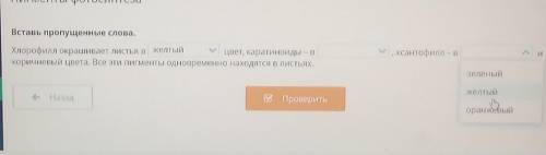 Вставь пропущенные слова. Хлорофилл окрашивает листья вцвет, каратиноиды - Вкоричневый цвета. Все эт