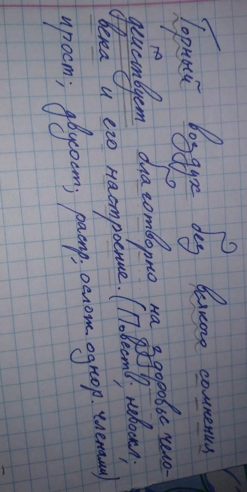 синтаксический разбор предложения: горный воздух без всякого сомнения действует благотворно но здоро