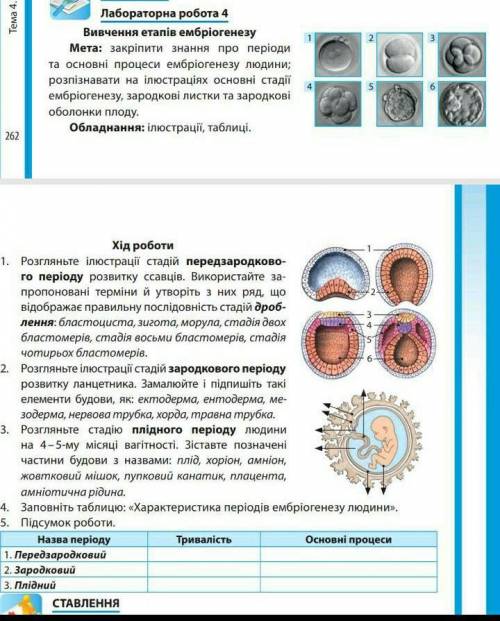 Лабораторна робота з біології 10 клас , тема: вивчення етапів ембріогенезу. до ть, будь ласка ​