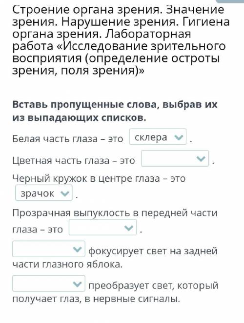Строение органа зрения. Значение зрения. Нарушение зрения. Гигиена органа зрения. Лабораторная работ