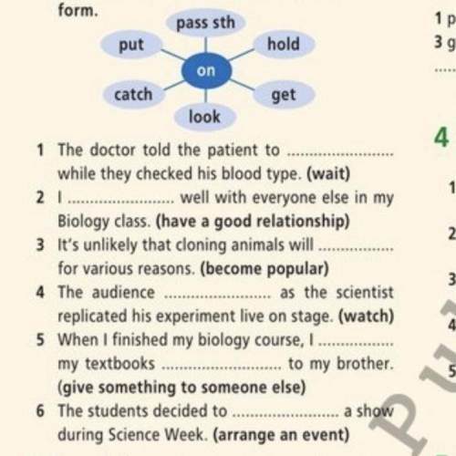 Complete the sentences with the phrasal verbs in the diagram in the correct form Нужно