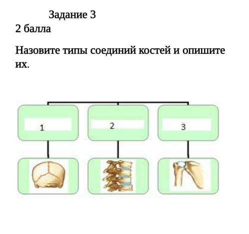 Задание 3 Назовите типы соединий костей и опишите их.​