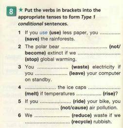Put the verbs in brackets into the appropriate tenses to form type 1 conditional sentences