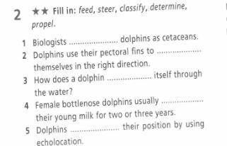 Помагите propel. 1 Biologists ... dolphins as cetaceans. 2 Dolphins use their pectoral fins to …th