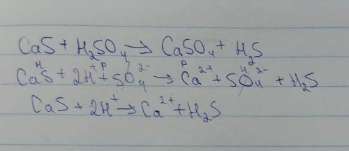 Составьте полное и краткое ионное уравнение взаимодействия сульфида кальция и серной кислоты