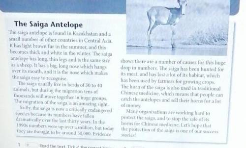 questions.Where can you find the saiga antelope?You can find it in Kazakhstan and some otherCentral