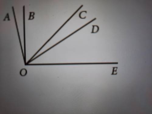 ОС биссектриса, СОD=AOB=12° Найди АОЕ,ВОС, DOE