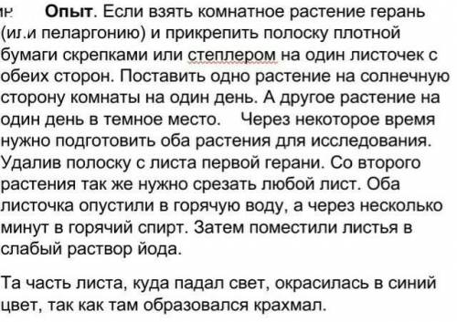 1 Что произошло с листочком герани (пеларгонии), которая стояла в темном месте?﻿ 2. Как ты думаешь п