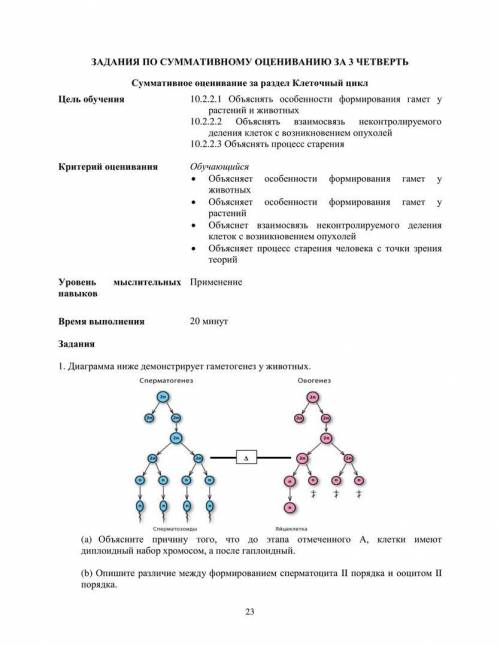 От только Если просто фигню какую нибудь напишите крысы!