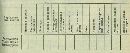 Составте в тетради таблицу и знаком «+» отметьте эмбриональные зачатки, дифференцирующиеся из зароды