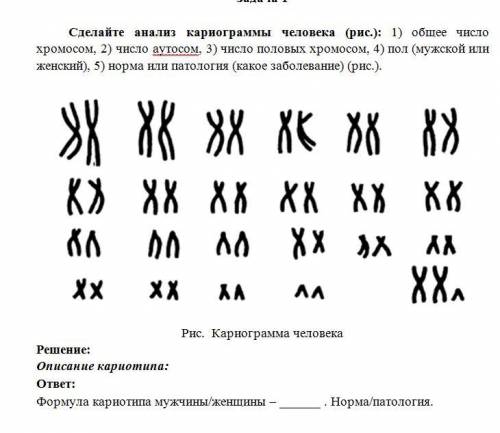 Сделайте анализ кариограммы человека (рис.): 1) общее число хромосом, 2) число аутосом, 3) число пол