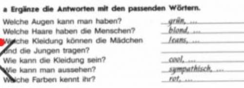 ПЛЗ ergänze die antworten mit den passenden wörtern