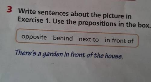 3 Write sentences about the picture in Exercise 1. Use the prepositions in the box.