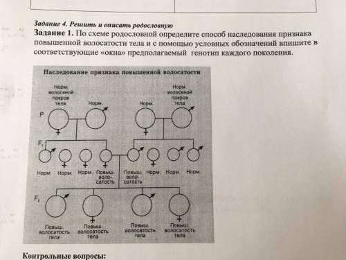 По схеме родословной определите наследования признак повышенной волосатости тела