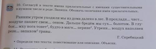 10. Согласуй в тексте имена прилагательные с именами существительными в нужном числе и роде. Запиши.