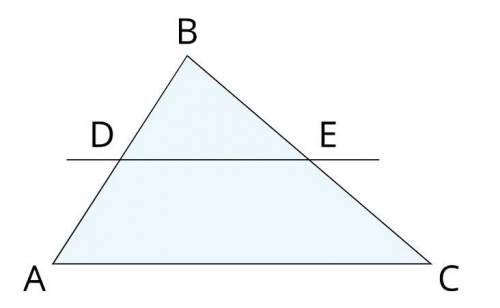 Известно, что сторона AC параллельна линии ED, угол CBA = 84° и угод BDE = 59°. Определи угол ACB!