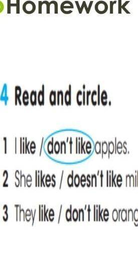 Homework 4 Read and circle.1 l like I don't like apples.4 He likes / doesn't like ice cream.X2 She l
