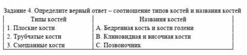 Задание 4. определите верный ответ- соотношение типов костей и названия костей. Типы Костей: 1. Плос