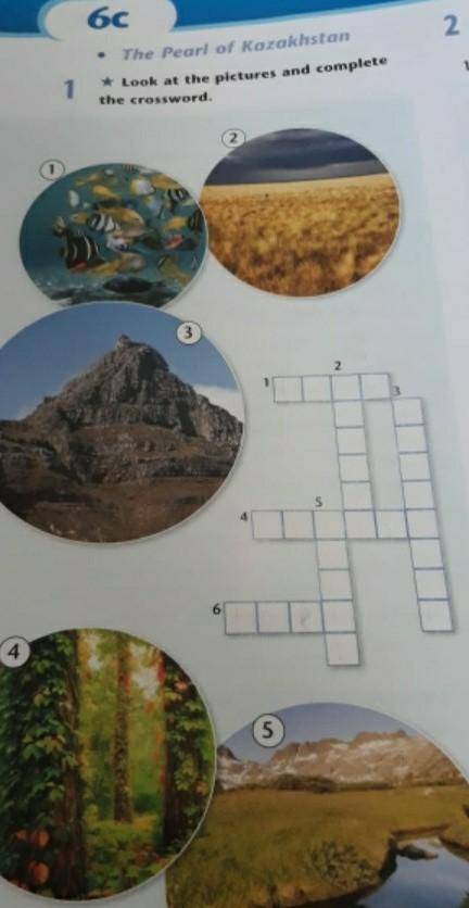 Look at the pictures and complate the crossword.